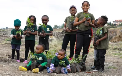 Taking on climate change by planting trees