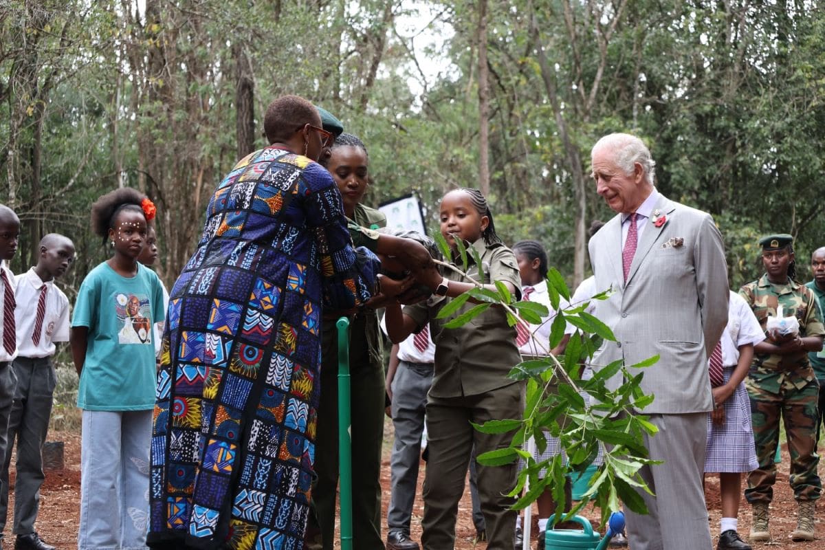 Karen Forte Foundation (17) Model Forest in Kinale, Kiambu