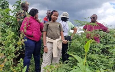 Karen’s 50-Acre Indigenous Forest Project in Kirinyaga